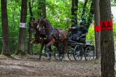 IMG_1574