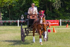 IMG_2027