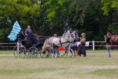 IMG_2285